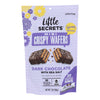 Little Secrets - Mini Wafer Dark Chocolate Sea Salt Spring Edition - Case of 6-7 OZ