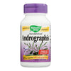 Nature's Way - Standardized Androgtaphis - 60 Veg Capsules