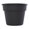 Bloem 8.75 in.   H X 11.25 in.   W X 11.25 in.   D Plastic Planter Black (Pack of 24)