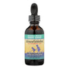 Herbs For Kids Echinacea GoldenRoot Blackberry - 2 fl oz