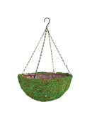 Syndicate Sales Inc 1355-06-070 12 Moss Hanging Basket With Liner