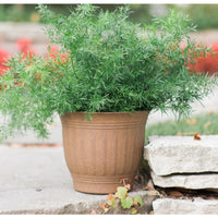 Bloem 7.3 in. H x 8.8 in. Dia. Plastic Colonnade Planter Brown