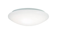 Metalux  16.5 in. H x 15 in. W x 16.3 in. L White  Ceiling Light