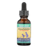 Herbs For Kids Echinacea/Golden Root Orange - 1 oz