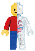 Hansen 27580 4d Brick Man Funny Anatomy Model