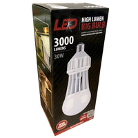 Stonepoint Edison E26 (Medium) LED Bulb Bright White 30 Watt Equivalence 1 pk