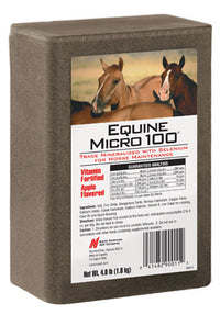 Equine Brick for Horses, 4-Lb. (Pack of 15)