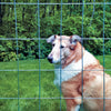 Garden Craft 48 in. H X 50 ft. L Steel Welded Wire Fence 2"x3" in.