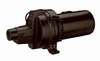 Shallow Well Jet Pump, 1-HP