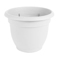 Bloem  Ariana  5.1 in. H x 6.5 in. W Plastic  Flower Pot  White Terracotta