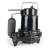 ECO-FLO  1/3 hp 3160 gph Cast Iron  Sump Pump