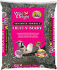 Wild Delight Fruit N Berry Assorted Species Sunflower Seeds Wild Bird Food 5 lb