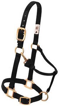 Snap Halter For Weanling/Pony, Black Nylon, 3/4-In.