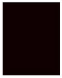 Royal Lace 24309 22 X 28 Black Poster Board (Case of 25)