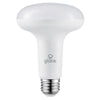 Globe Electric BR30 E26 (Medium) LED Bulb Daylight 65 Watt Equivalence 2 pk