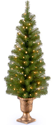 Pre-Lit Entrance Artificial Christmas Tree, Montclair Spruce, 70 Clear Lights, 4-Ft.