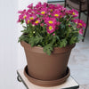 Bloem Llc 20-50314ch 14 Plastic Chocolate Terrapot Planter (Pack of 10)