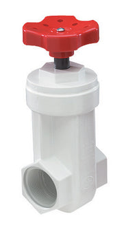 NDS 1 in.   FPT PVC Gate Valve