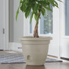 Bloem Lucca Pebble Stone Plastic Self-Watering Planter 6 in.