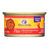 Wellness Pet Products Cat Food - Beef and Chicken - Case of 24 - 3 oz.