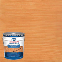 Thompson's WaterSeal Transparent Wood Sealer Transparent Natural Cedar Waterproofing Wood Stain and