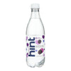 Hint Fizz Sparkling Water, Blackberry  - Case of 12 - 16.9 FZ