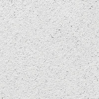 USG R414 Arctic 24 in. L X 24 in. W 0.75 in. Shadow Lined Bevel Ceiling Tile 1 pk (Pack of 8)