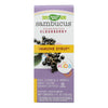 Nature's Way - Original Sambucus for Kids - Standardized Elderberry - 4 fl oz