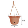 Bloem Lucca Terra Cotta Self-Watering Hanging Basket 13 in.