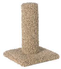 Hula Ho 1047 12 L X 15 W X 12 H Deluxe Carpet Scratch Post