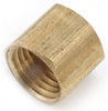 Amc 756108-02 1/8" Lead Free Brass Cap