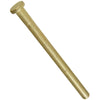 National Hardware 4 in. L Satin Brass Hinge Pin (Pack of 15)