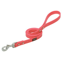 Brahma Webb Dog Leash, Hot Pink, 3/4-In. x 4-Ft.