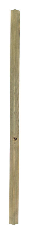 Suntrellis  36 in. H x 2 in. W x 2 in. L Red Pine  Baluster Railing (Pack of 16)