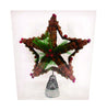 Greenfields Pinecone Tree Topper Brown 4 pk (Pack of 4)