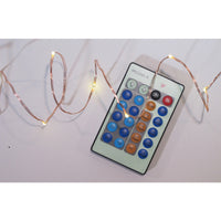 Celebrations  Micro/5mm  Clear/Warm White  100 count String  Christmas Lights  33 ft.