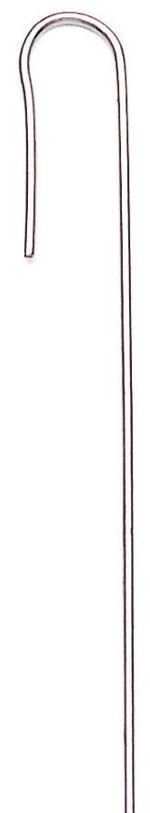 Rain Drip 397010B 8" Galvanized Wire Hook Stakes 10 Count