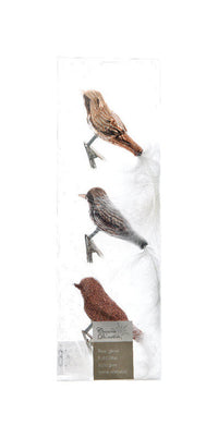 Decoris  Clip-On Bird  Christmas Ornament  Multicolored  Glass  3 pk (Pack of 30)