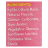 Spry Xylitol Gum - Stronger Longer Bubblegum - Case of 6 - 55 count