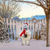 Productworks Llc Rudolph 3D Pre-Lit Yard Art Bumble 32 H in. with Present