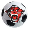 Davenport University Soccer Ball Rug - 27in. Diameter