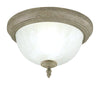 Westinghouse  6-3/4 in. H x 11 in. W x 11.8 in. L Ceiling Light