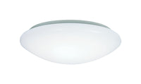 Metalux  16.5 in. H x 4.9 in. W x 16.3 in. L Ceiling Light