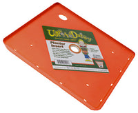 Bloem Ups A Daisy Orange Plastic 1 in. H Plant Insert 1 pk