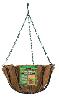 Panacea 14 in. D Steel Hanging Basket Green