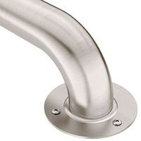 STAINLESS 42" EXPOSED SCREW GRAB BAR