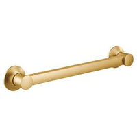 BRUSHED GOLD 24" GRAB BAR