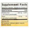 Nature's Way - Pantothenic Acid - 250 mg - 100 Capsules