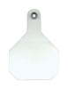 Y-Tex  Large Blank  Plastic  2-Piece Ear Tag