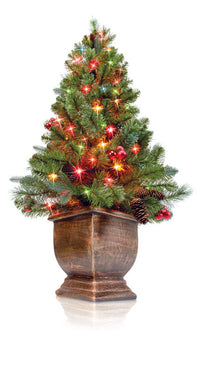 J & J Seasonal Prelit Porch Tree Multi Brookhaven Pe 4.5' 213 Tips